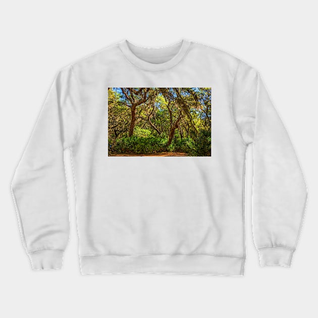 Cumberland Island National Seashore Crewneck Sweatshirt by Gestalt Imagery